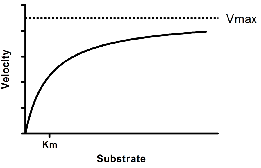 Graphpad Prism 9 Curve Fitting Guide Equation Michaelis Menten Model Graphpad Prism 9 Curve Fitting Guide Equation Michaelis Menten Model