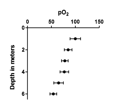 depthchart